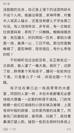 菲律宾经济政策 经济推动产业是什么